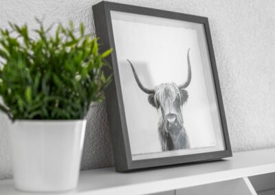 Bilderrahmen Ferienhausträume Bodensee Apartm. mit Dachterrasse