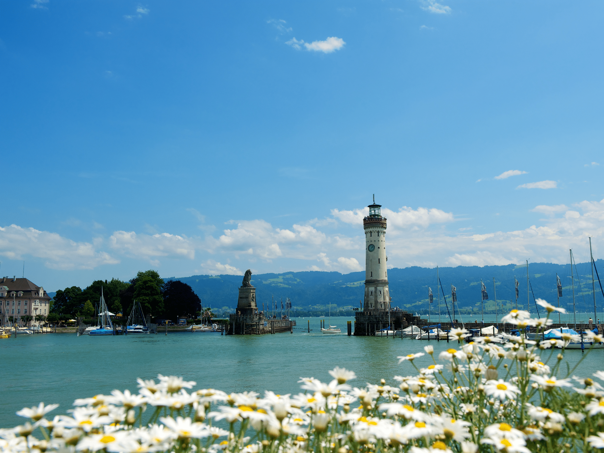 Ferienhausträume Bodensee Umgebung Frühling 1