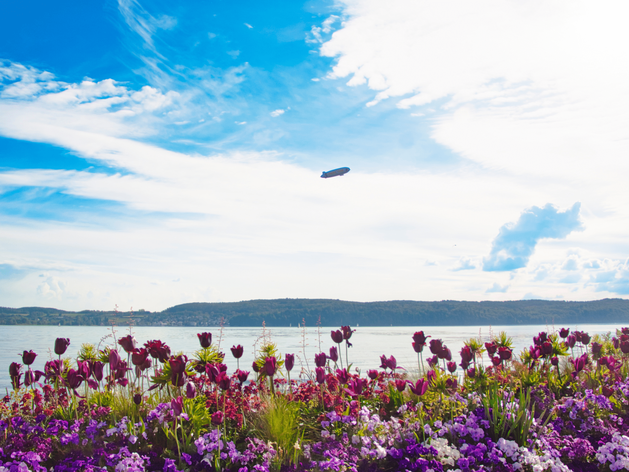 Ferienhausträume Bodensee Umgebung Frühling 2