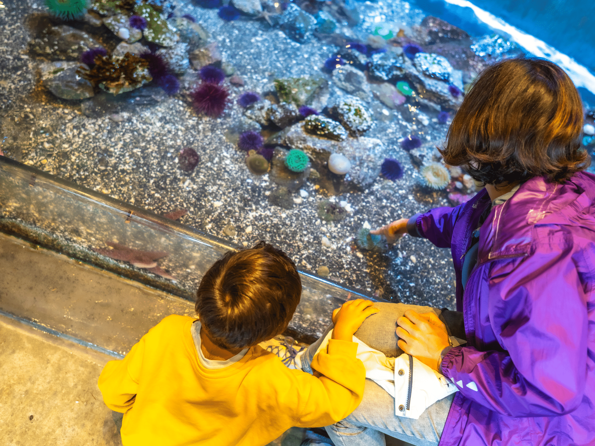 Ferienhausträume Bodensee Umgebung Sea Life